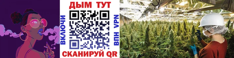 МАРИХУАНА LSD WEED  наркота  Пустошка 